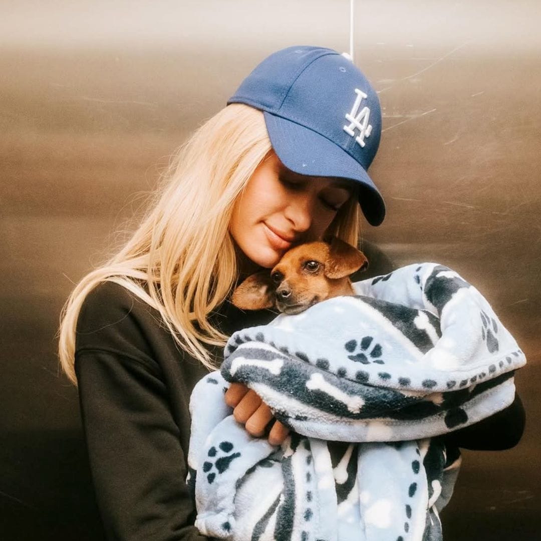 How Paris Hilton helped save dog in LA fires: 'During one of the most heartbreaking times'