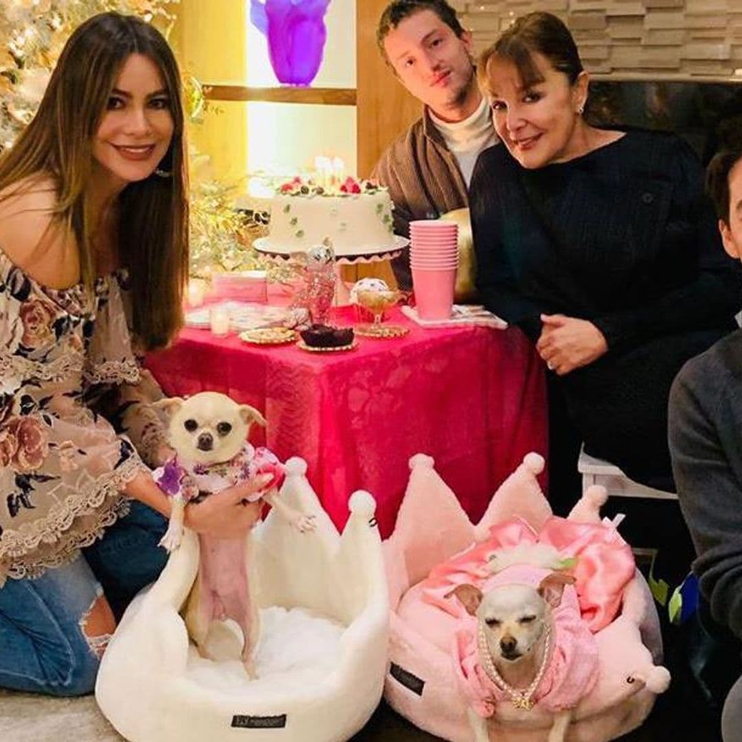 Sofia Vergara throws epic sixth birthday party for dog Baguette - see the video