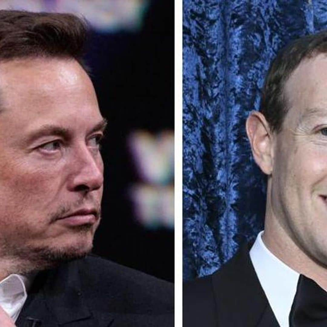 Who would win if Elon Musk and Mark Zuckerberg fought in a cage match?