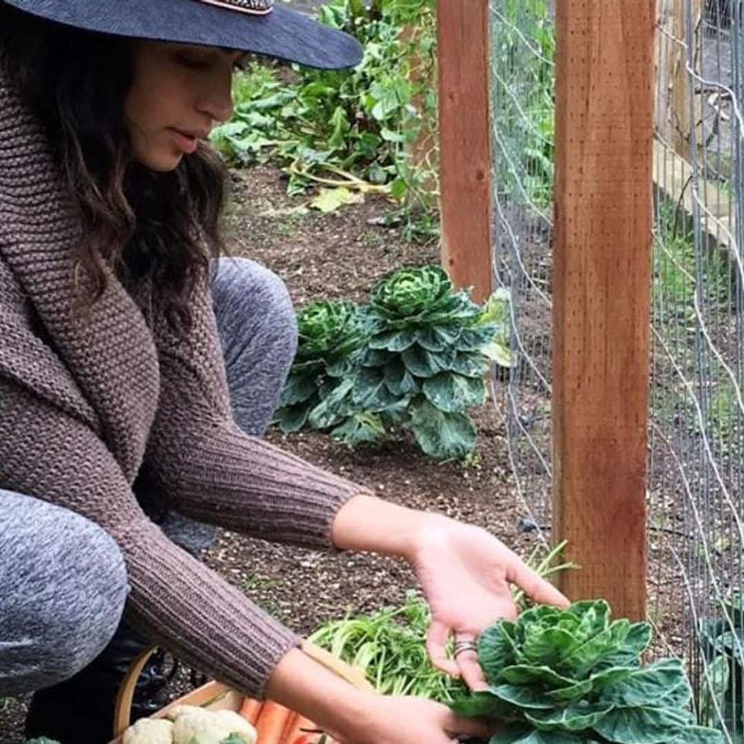 Camila Alves-McConaughey’s coleslaw recipe is perfect for fiesta season