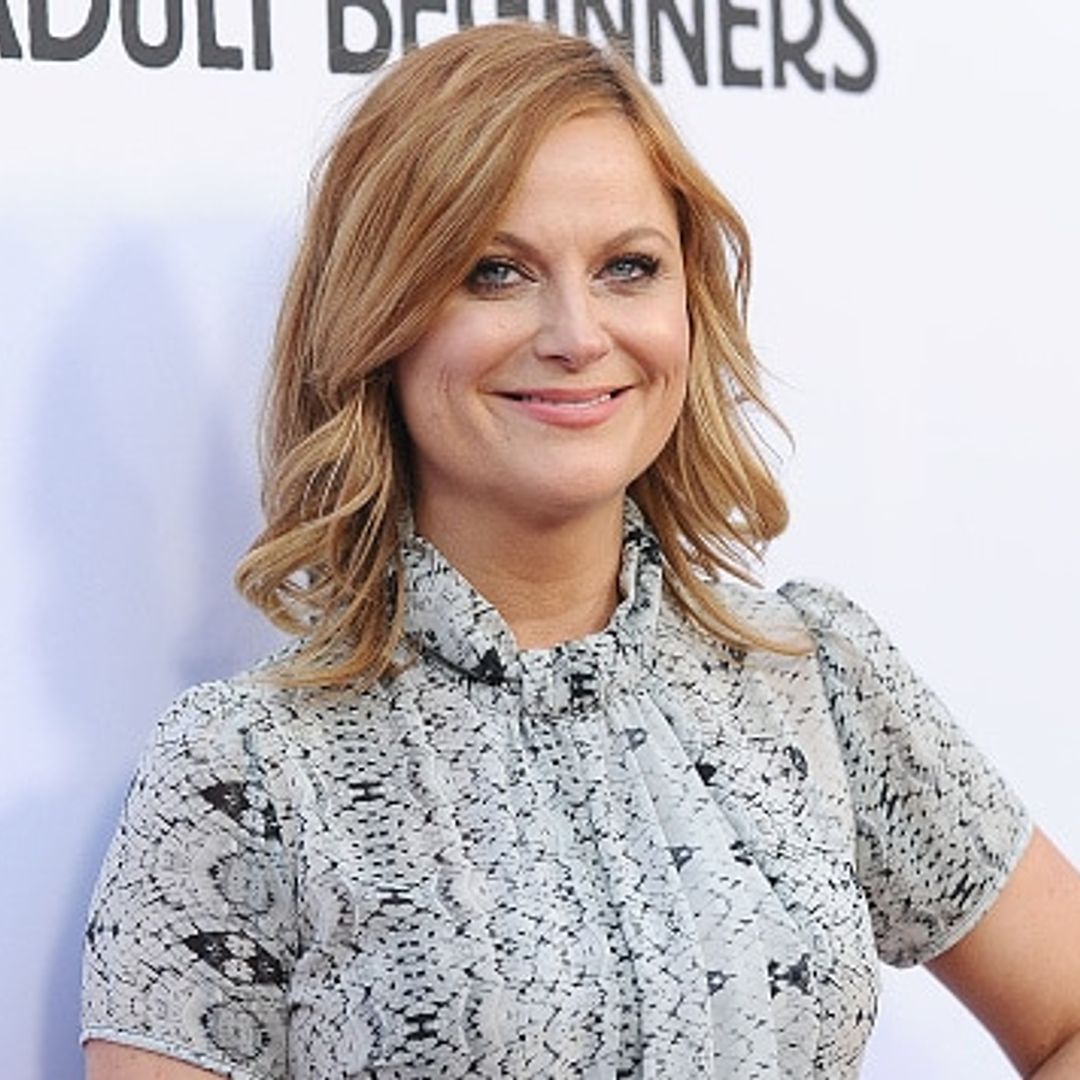 Amy Poehler: It's 'weird' working in male-dominated entertainment industry