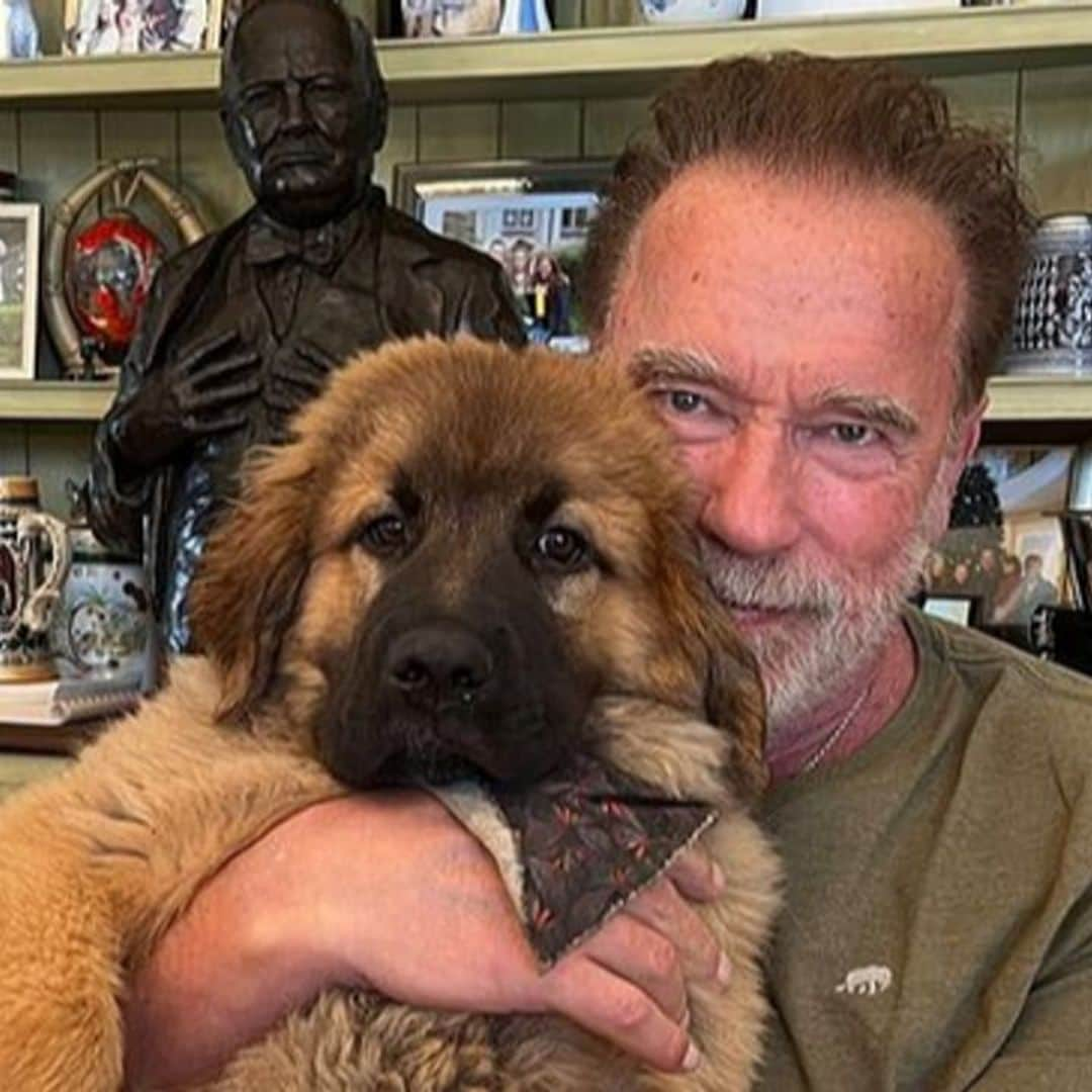 Arnold Schwarzenegger introduces adorable new family member