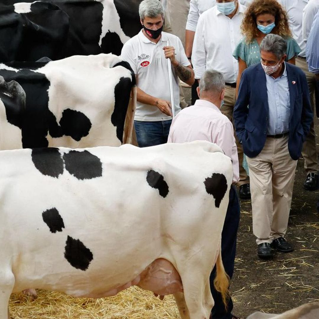 Queen Letizia gets up close with livestock wearing a chic jumpsuit