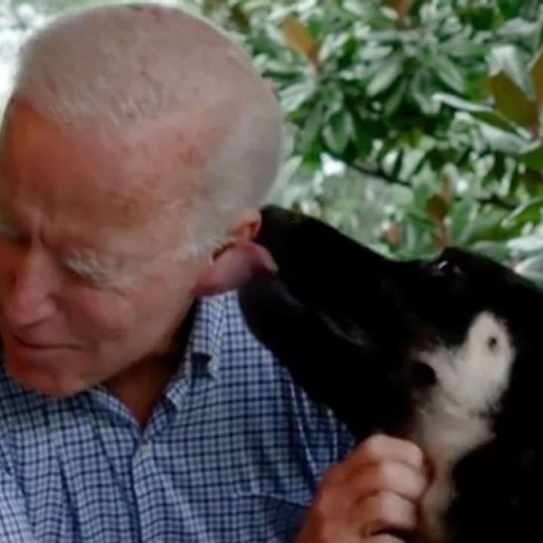 Joe Biden’s dog to make history in the White House