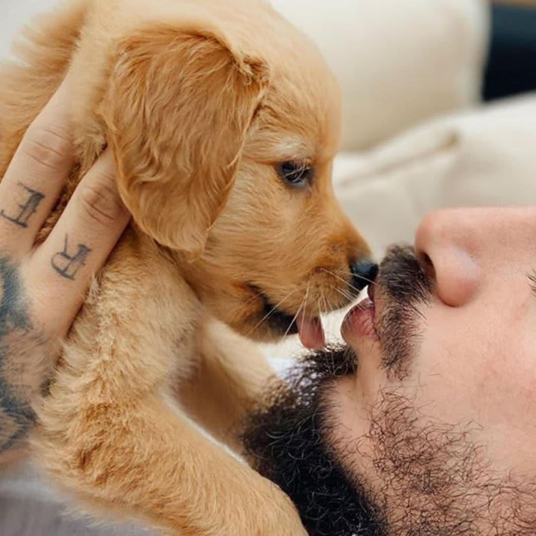 J Balvin and Mario Lopez share beyond adorable videos of their pups and we need more