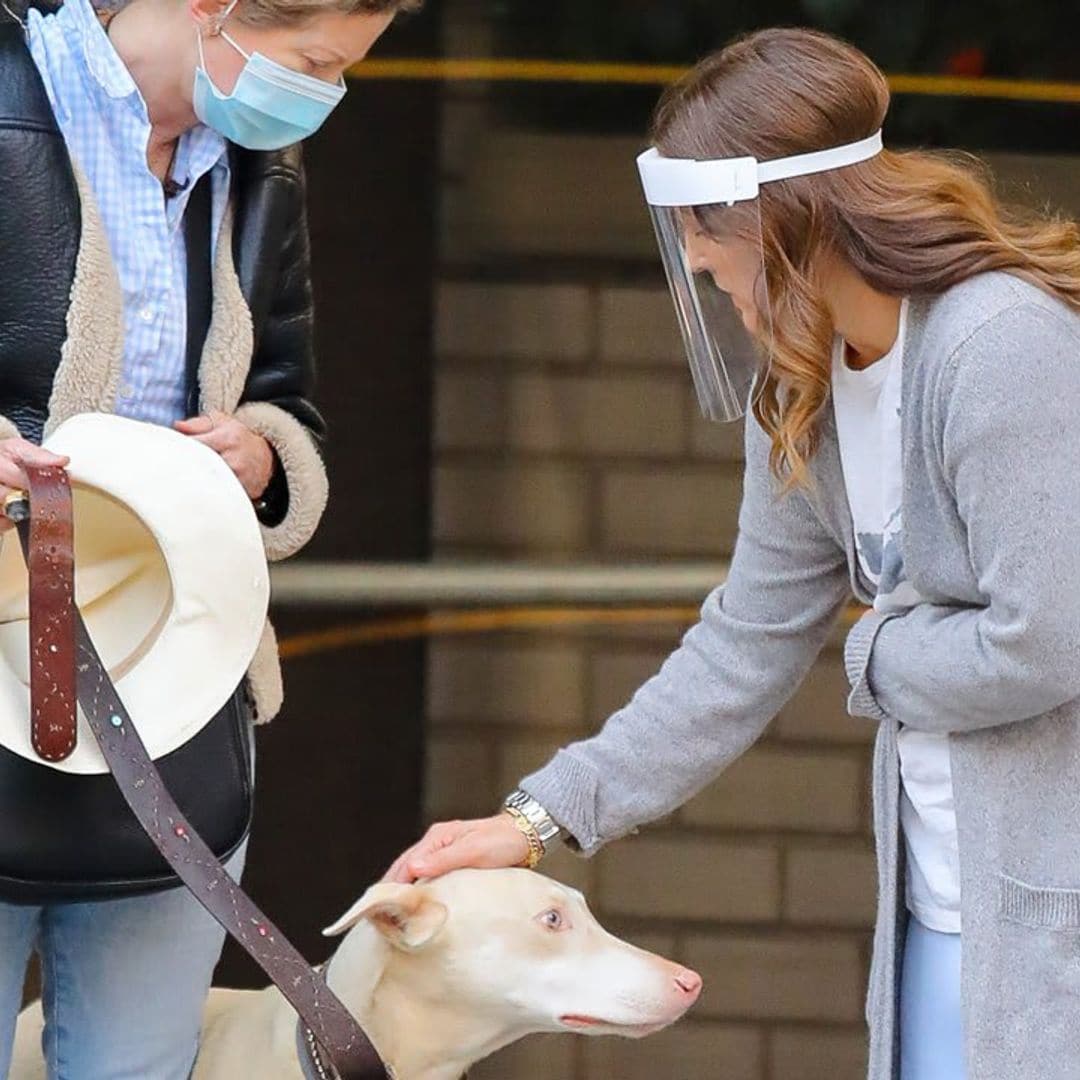 Drew Barrymore helps rescue a dog that was struck by a car in Manhattan