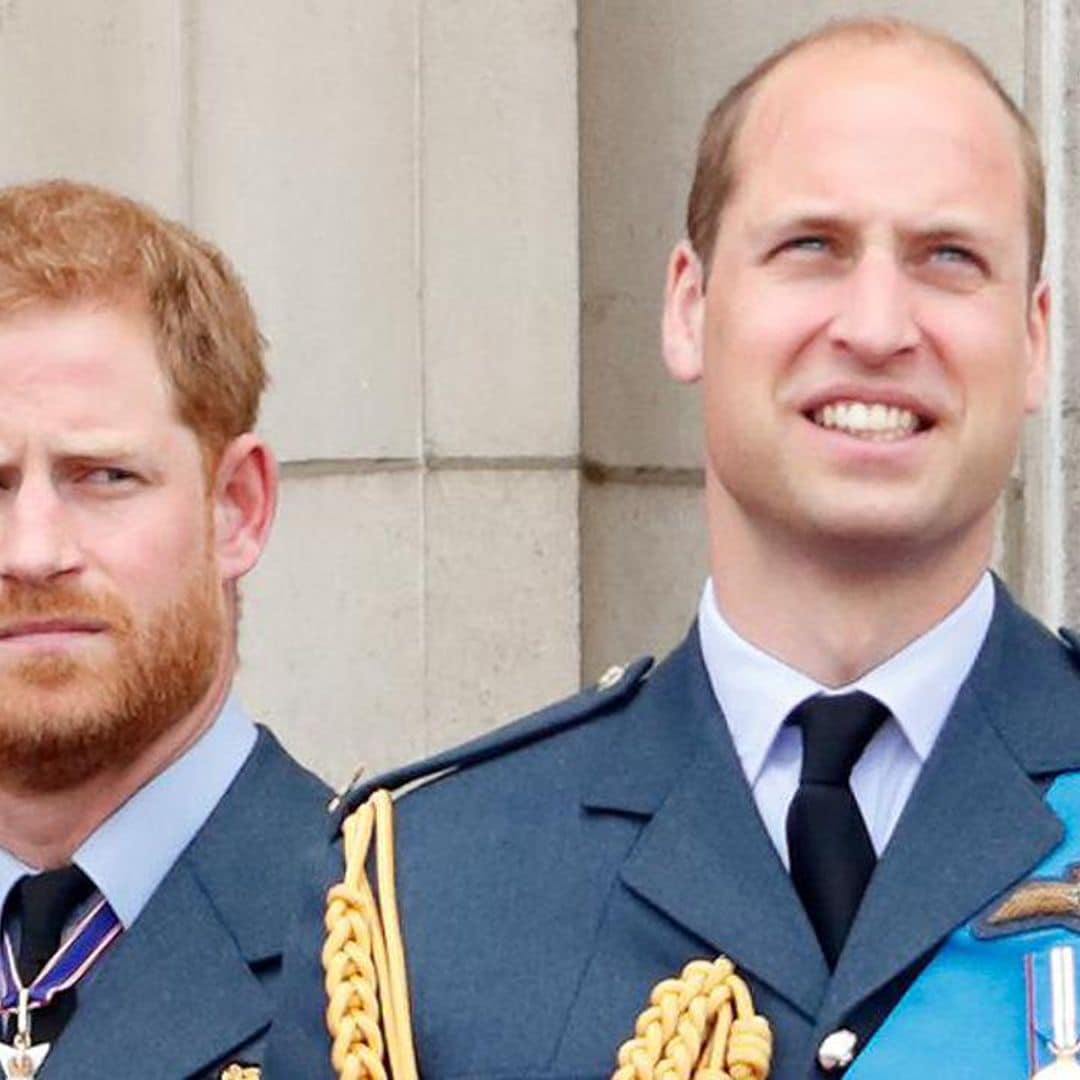 Are brothers Prince Harry and Prince William reuniting at Diana Award event?