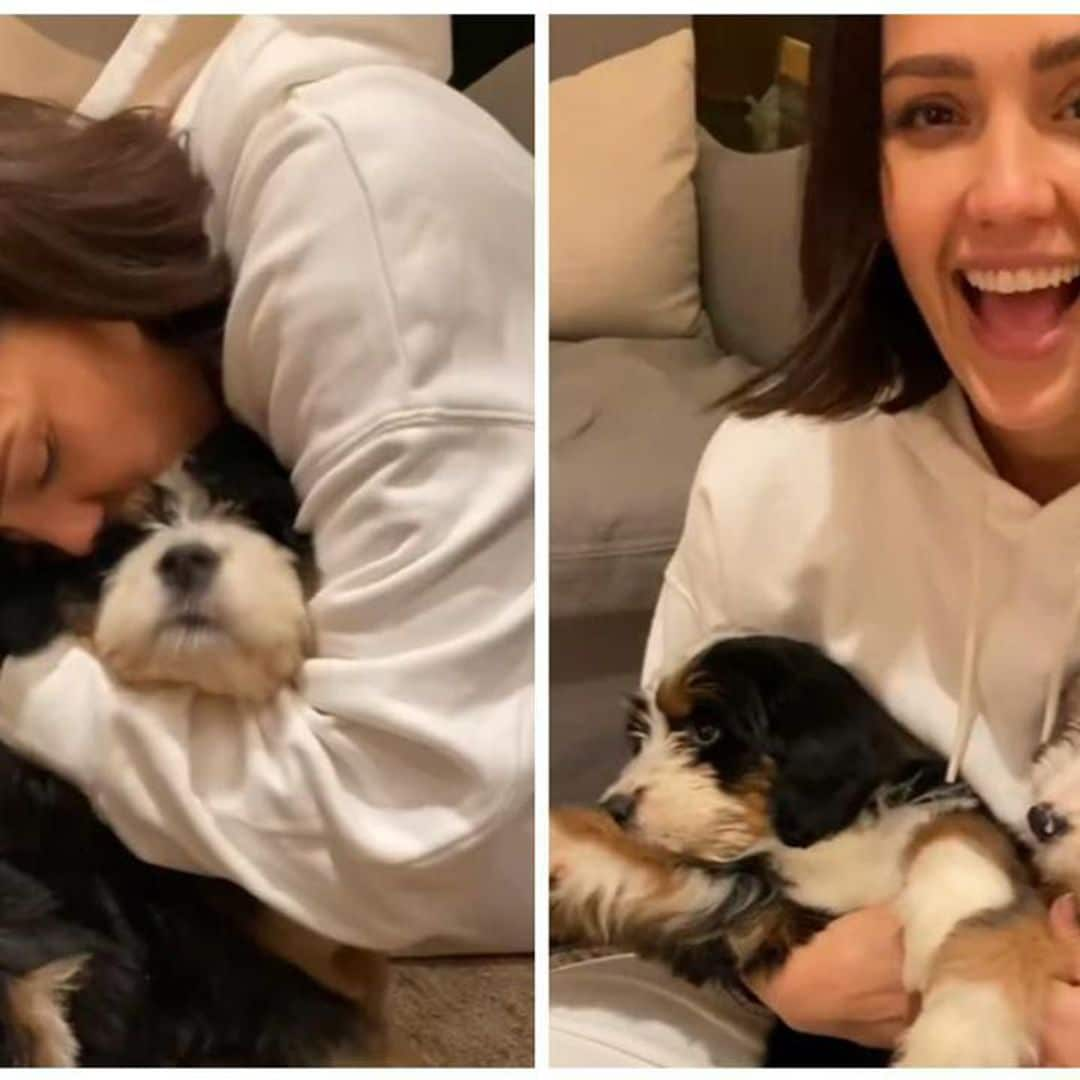 Jessica Alba shares adorable video of her kids playing with puppies