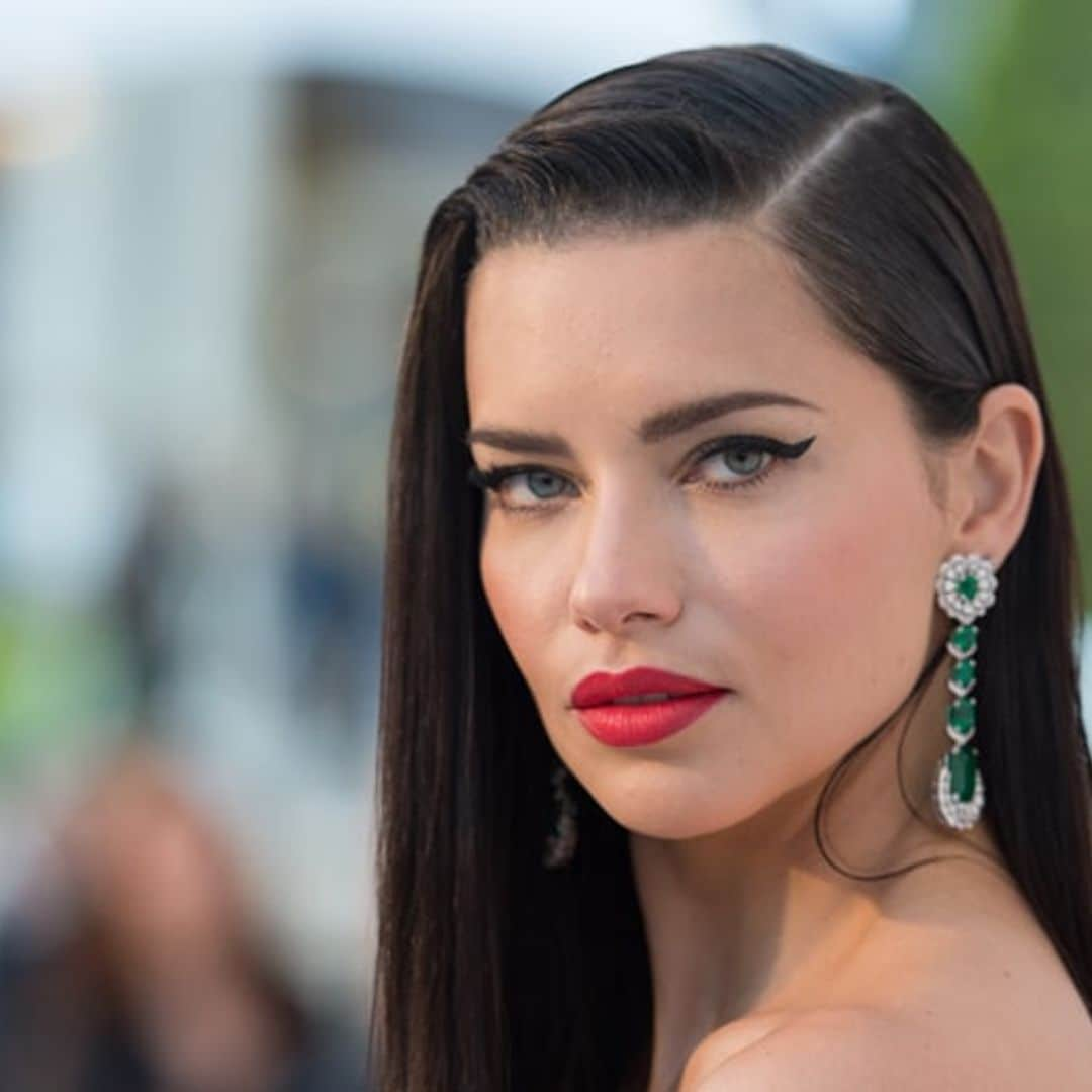 Adriana Lima and other stars shed light on Brazil's Amazon rainforest fires