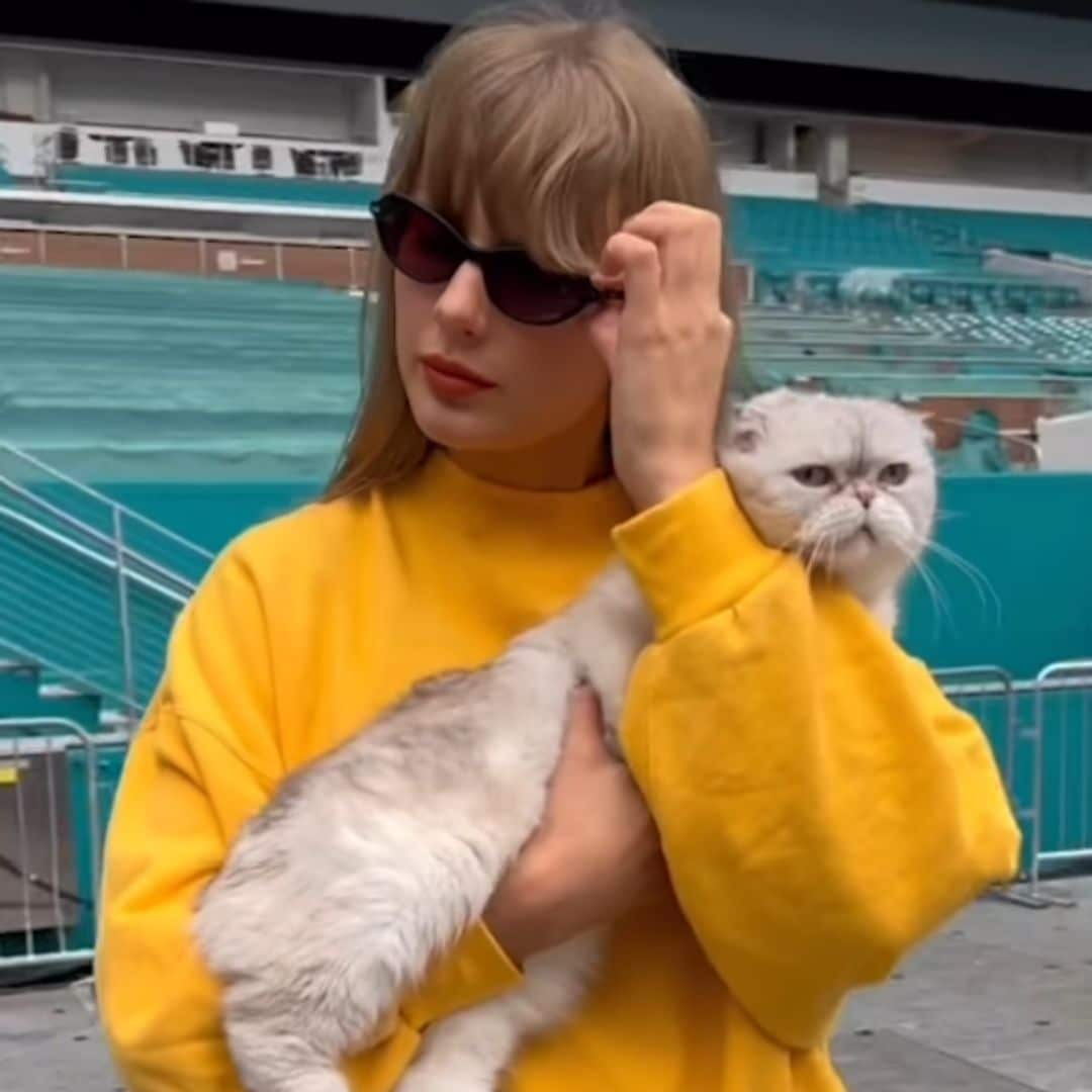 Taylor Swift and her cat Olivia Benson tease Miami Eras Tour