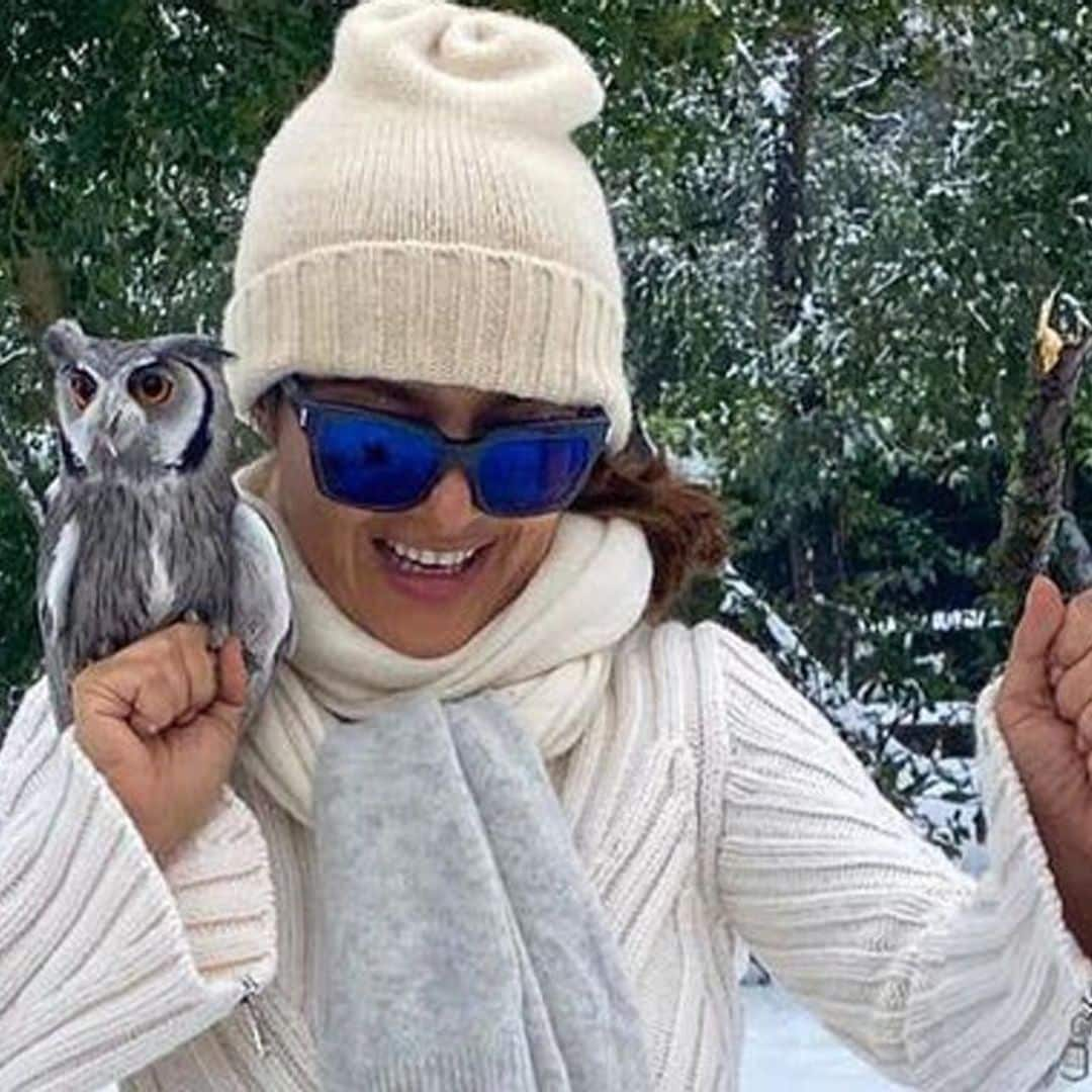 Salma Hayek’s pet owl Kering loves expensive wine and sleeps with her at night sometimes