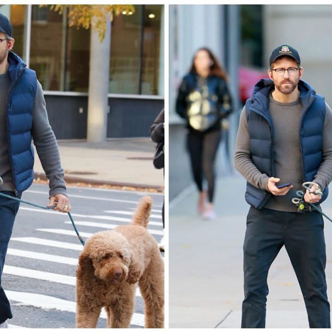 Ryan Reynolds enjoys a walk in NYC with Blake Lively’s fluffy dog Penny