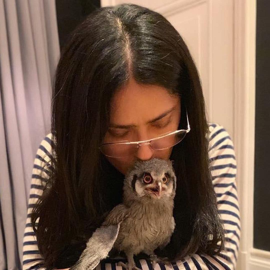 Salma Hayek's new hairdresser is an owl and a total hoot