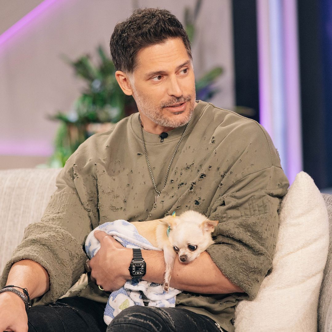 Joe Manganiello talks about Bubbles, his dog with Sofia Vergara: 'The cutest chihuahua'