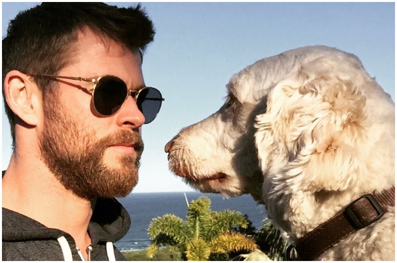 Chris Hemsworth is a huge animal lover