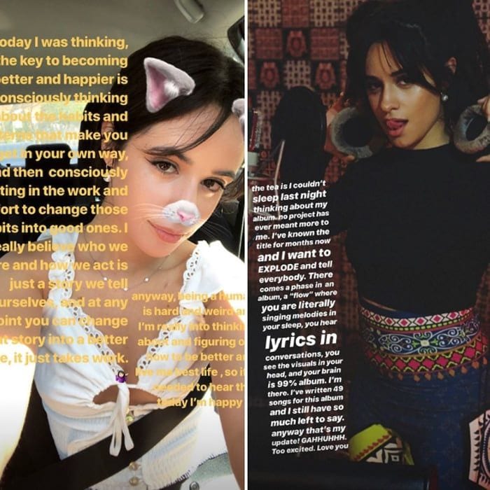 Camila Cabello Says 'Everybody' Can Make a 'Positive Change