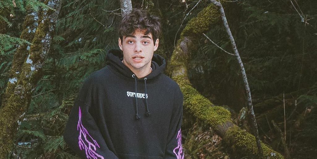 Noah centineo online hoodie