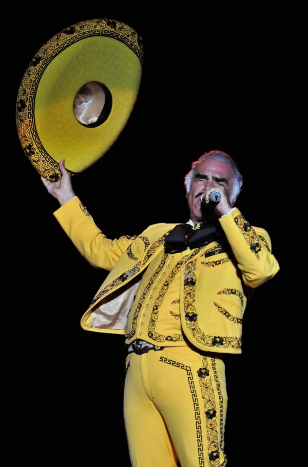 Don Vicente Fernández