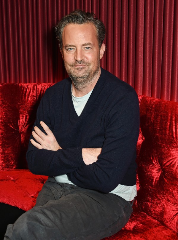 Matthew Perry retrato 